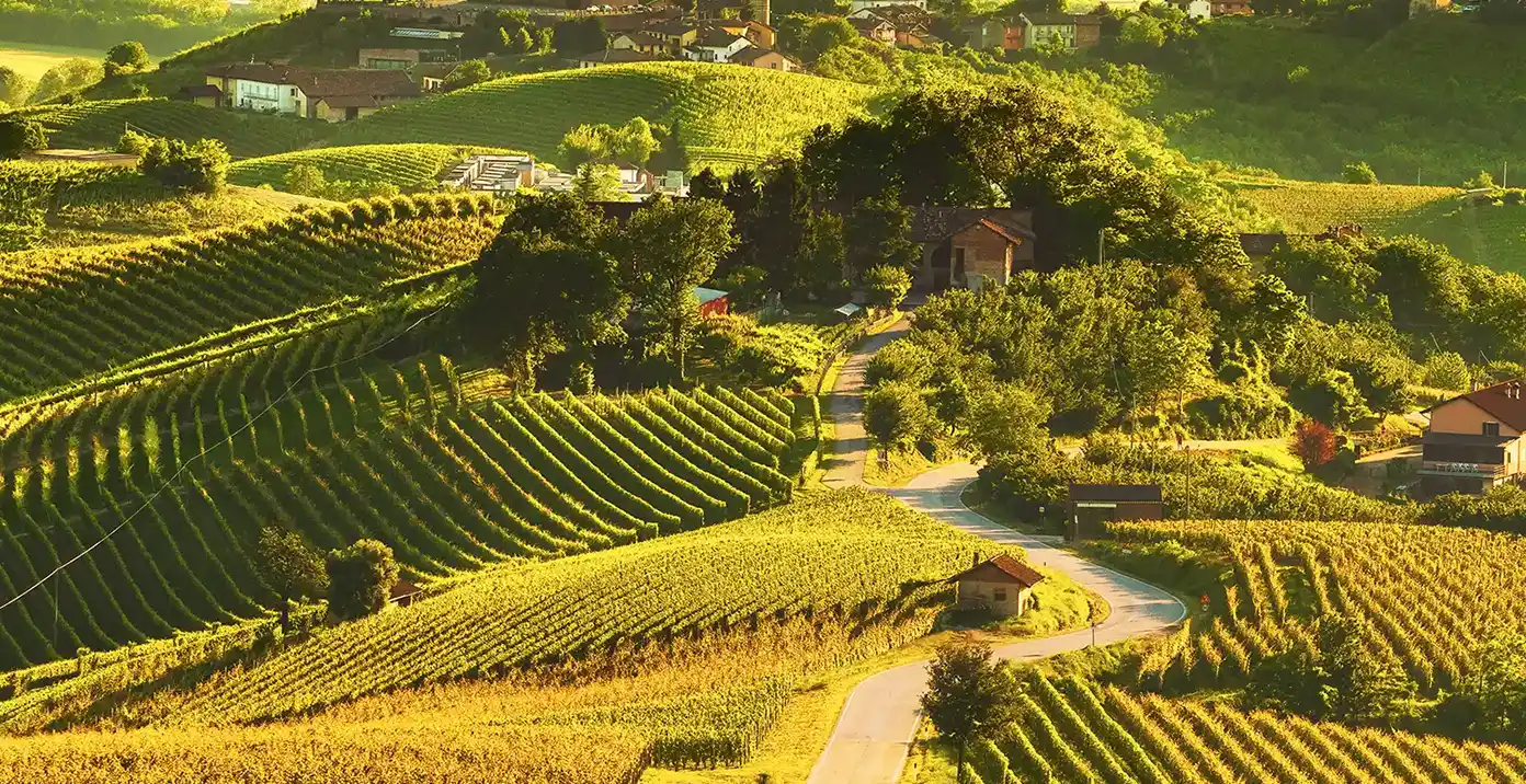 Sostegno Sistema Paese