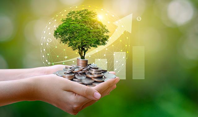 Italia cresce nel green, eco-investimenti per 24% imprese
