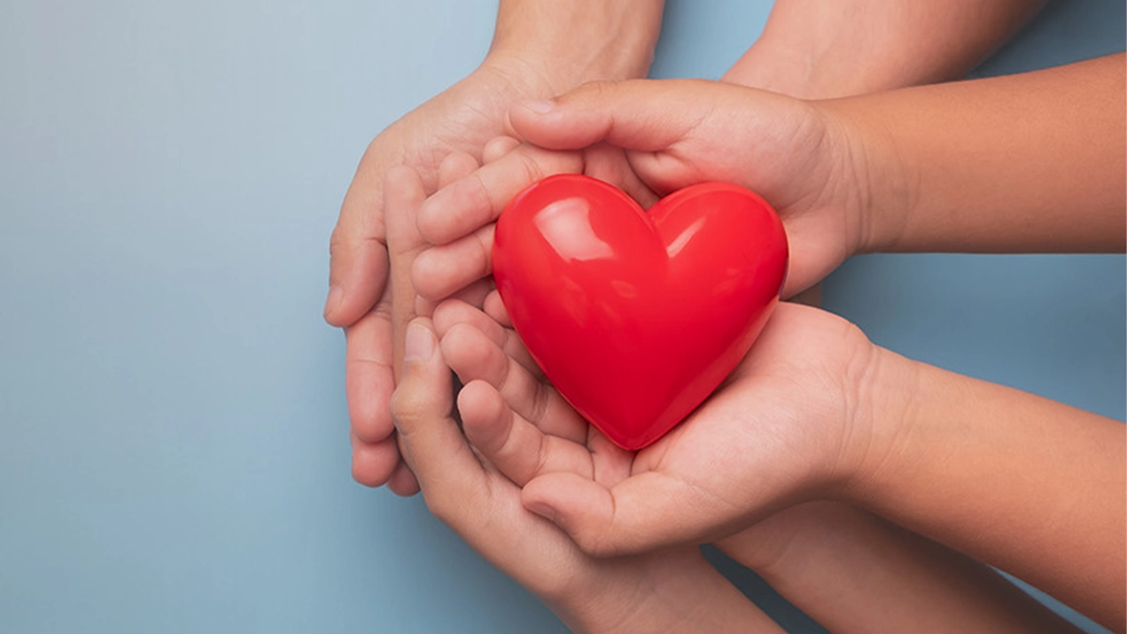 Mani mantengono cuore