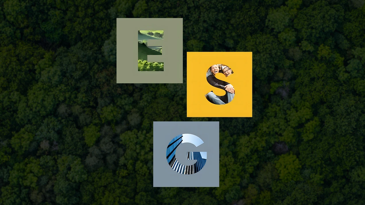 Esg strategy
