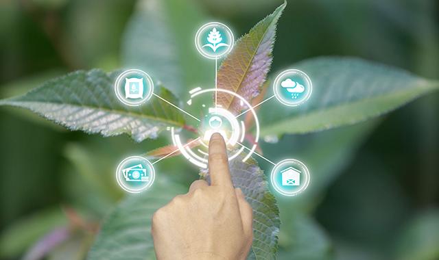 settimana investimento respojnsabile