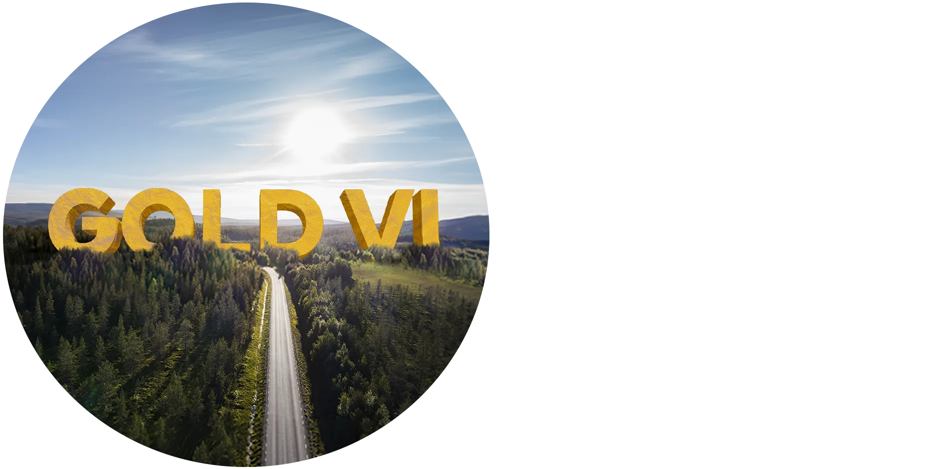 Poste Prospettiva Valore Gold VI