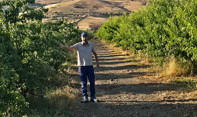 Con il portalettere tra le eccellenze agricole dell’Etna: “Anche qui l’e-commerce è indispensabile”