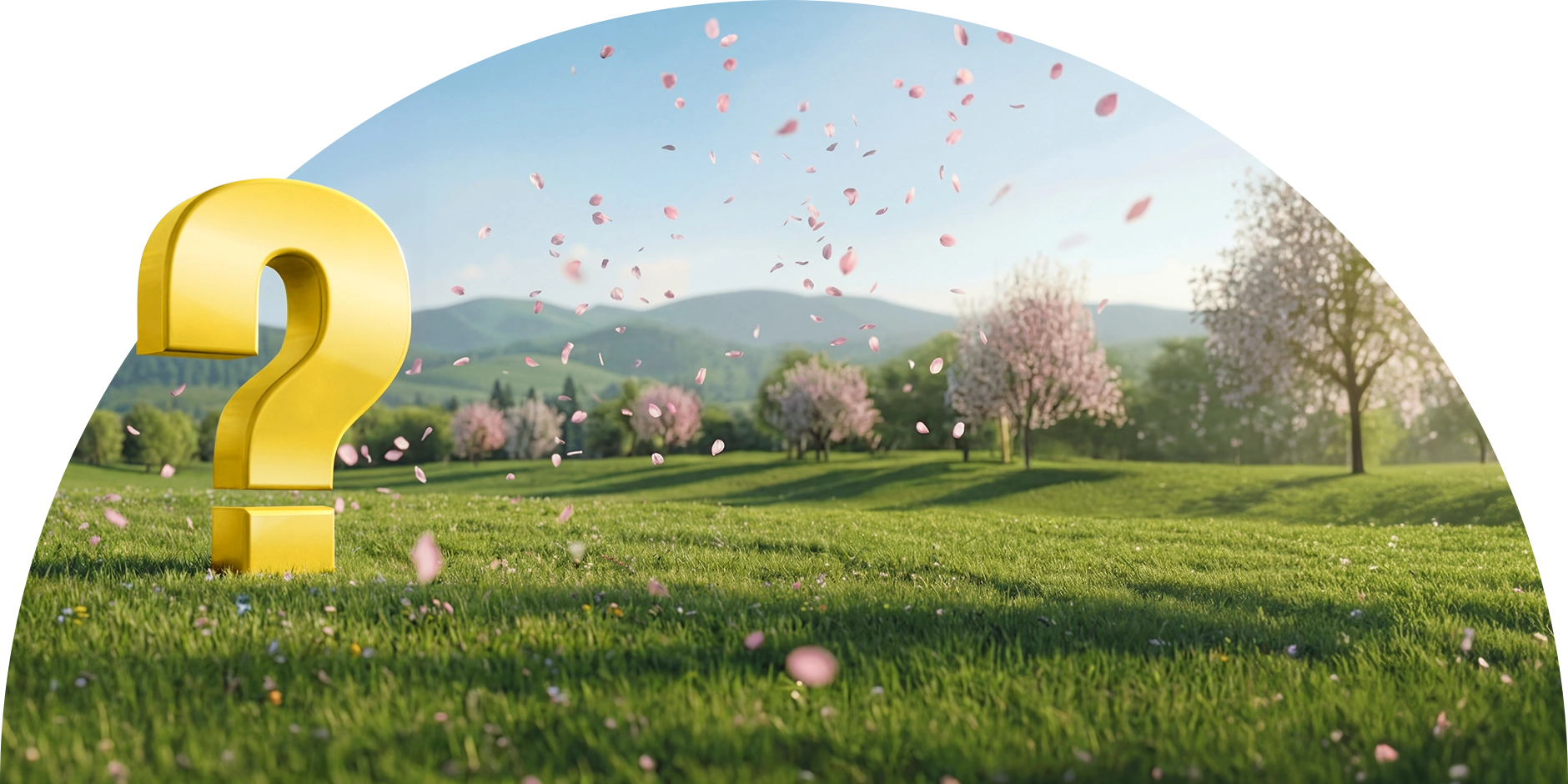 punto interrogativo con petali rosa volanti