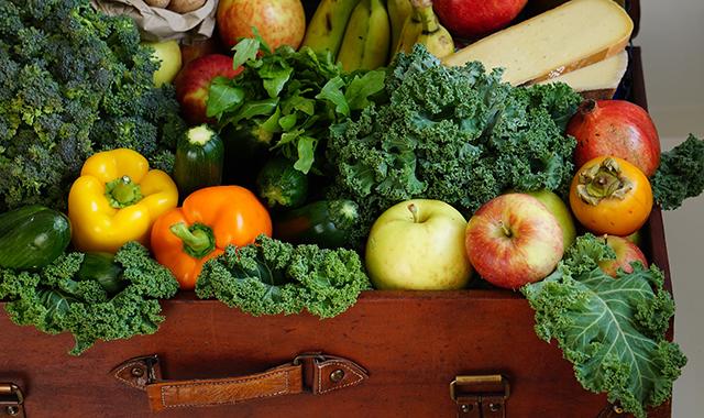 Export, record storico per l'agroalimentare italiano