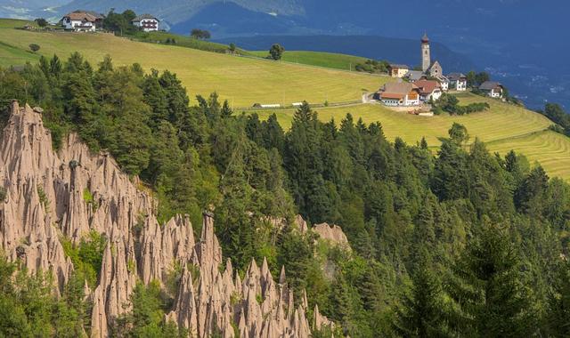 Ambiente, oltre 6mila nuovi alberi rigenerano otto centri urbani