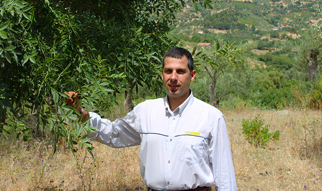 Sulle Madonie con il portalettere agronomo: “La raccolta della manna si intreccia con lo sviluppo dell’e-commerce”