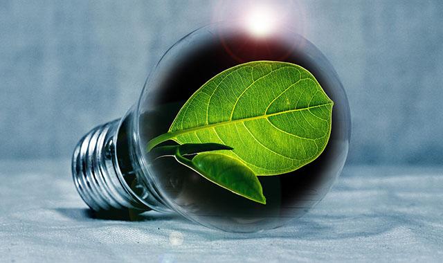 Per otto imprese italiane su 10 la crisi si combatte con la transizione ecologica