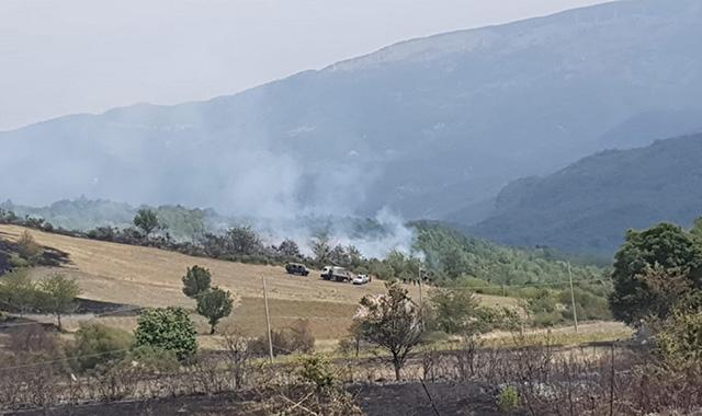 Incendi e cambiamento climatico: il vademecum di PEFC Italia