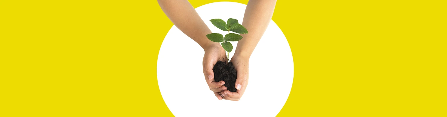 Deposito Supersmart Minori