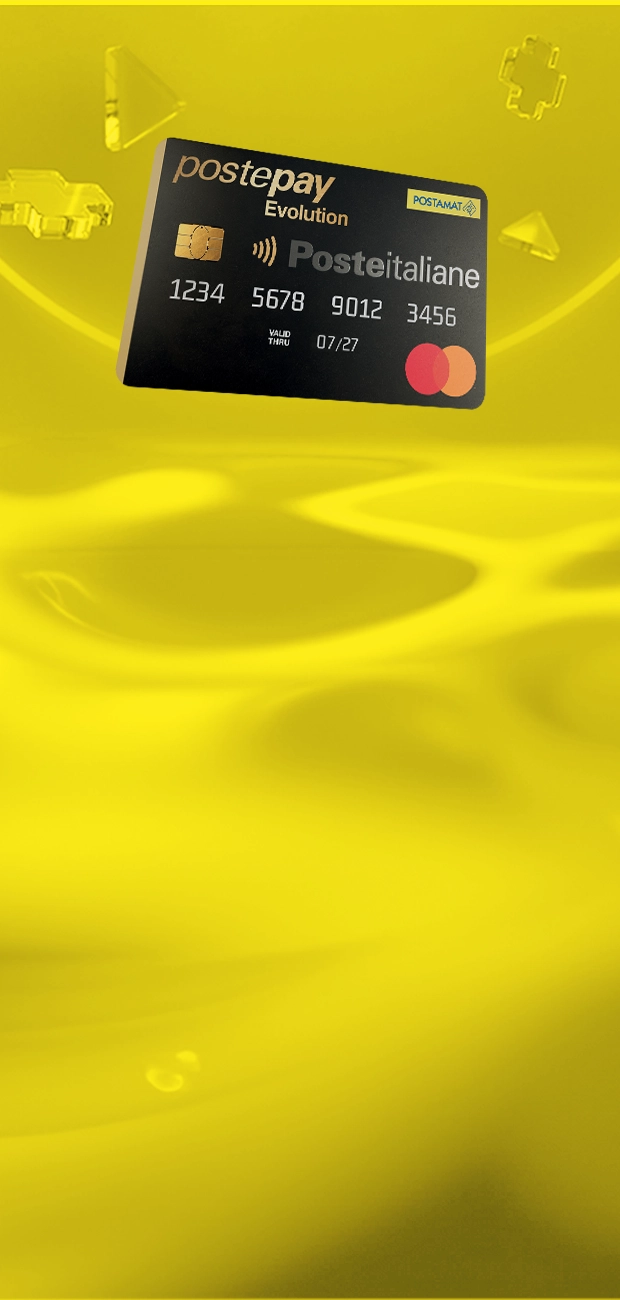 Immagine stilizzata PP Evo