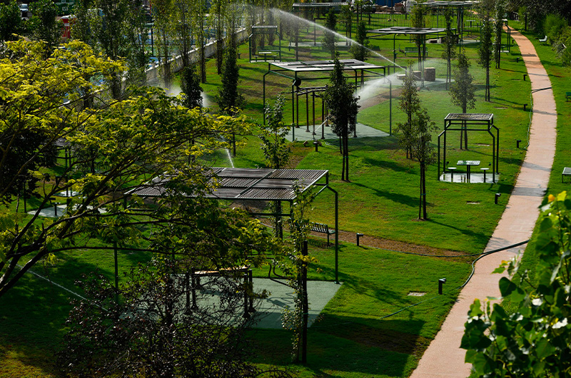 Parco e vegetazione