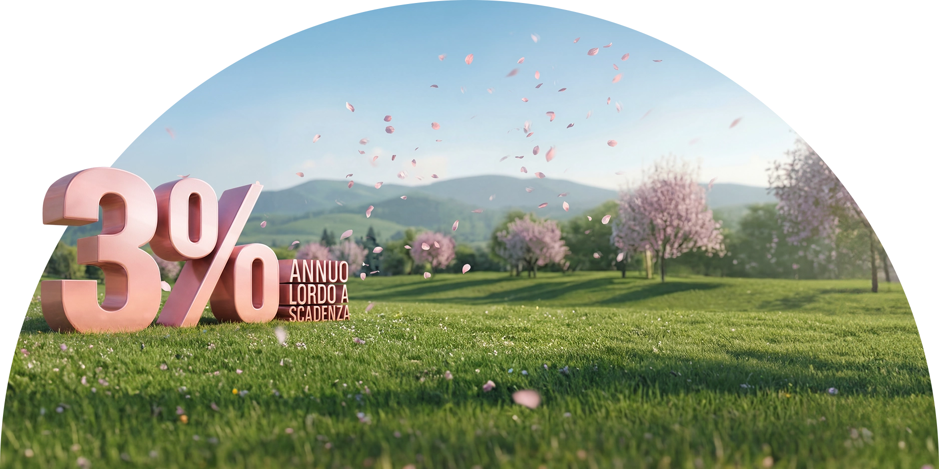 tasso gigante rosa in giardino primaverile