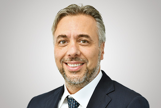 Guido Crozzoli Business Sales and Public Administration