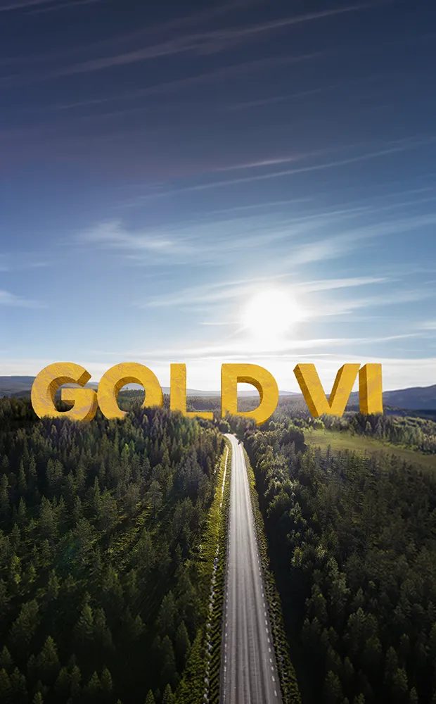 Poste Prospettiva Valore Gold VI
