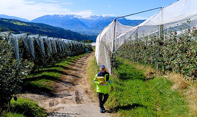 Maurizio, il portalettere della valle delle mele: “Il recapito? Direttamente nei frutteti”